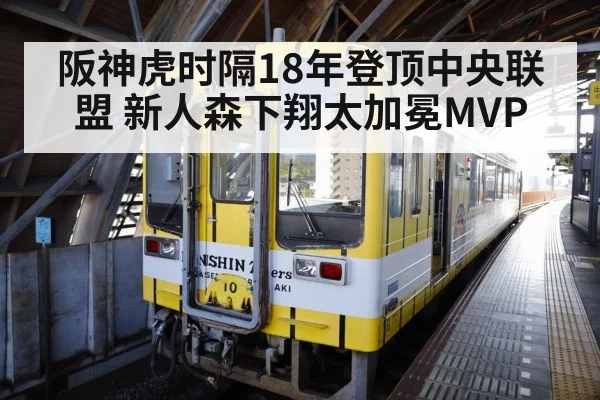 阪神虎时隔18年登顶中央联盟 新人森下翔太加冕MVP