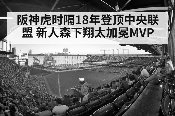 baseball stadium crowd